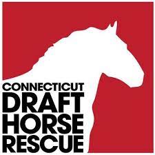 Horse Rescue
